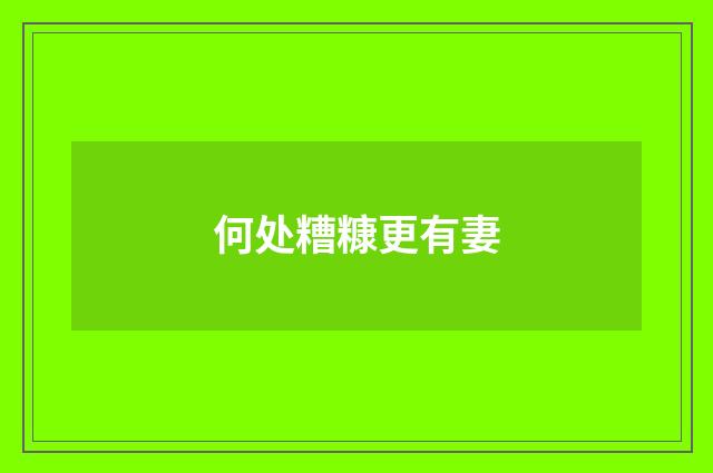 何处糟糠更有妻