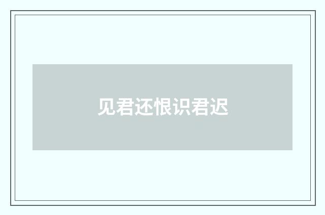 见君还恨识君迟