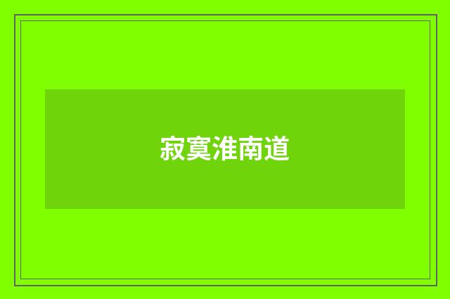 寂寞淮南道