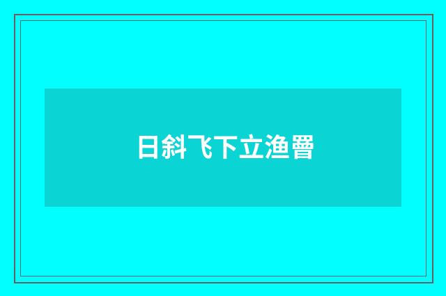 日斜飞下立渔罾
