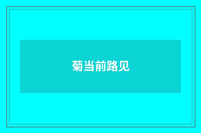 菊当前路见