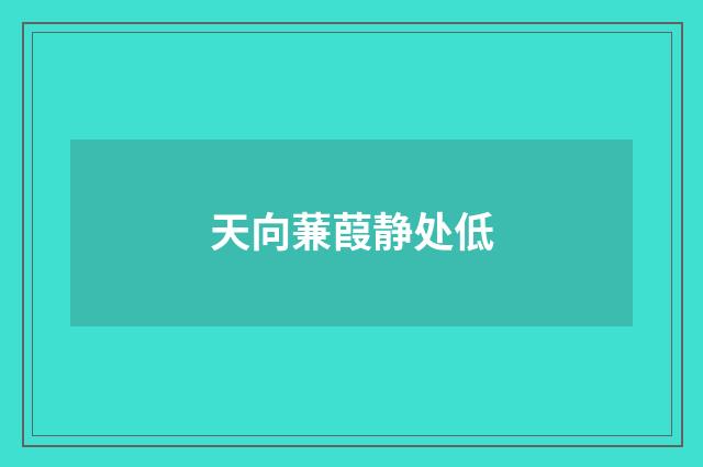天向蒹葭静处低