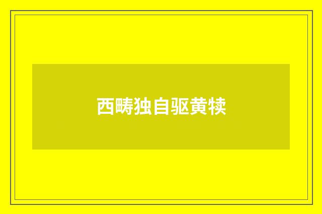 西畴独自驱黄犊