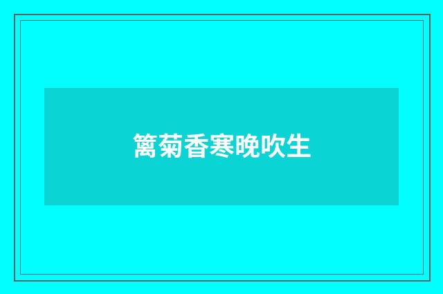 篱菊香寒晚吹生
