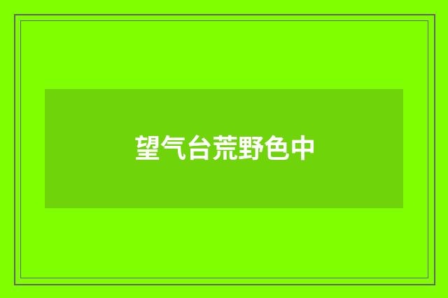 望气台荒野色中