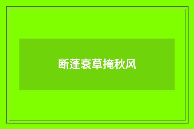 断蓬衰草掩秋风