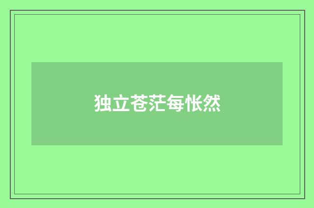 独立苍茫每怅然