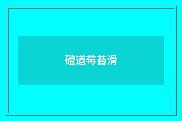 磴道莓苔滑