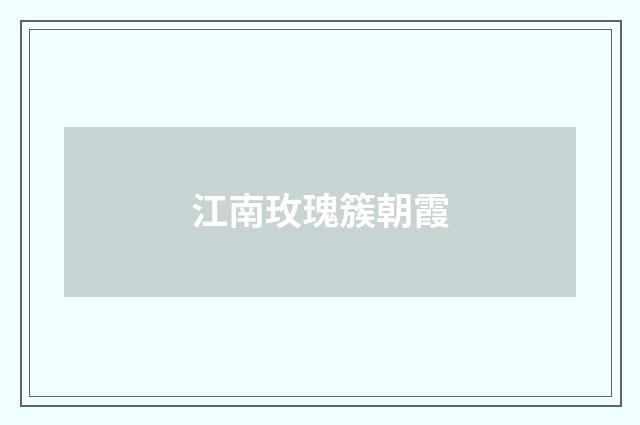 江南玫瑰簇朝霞