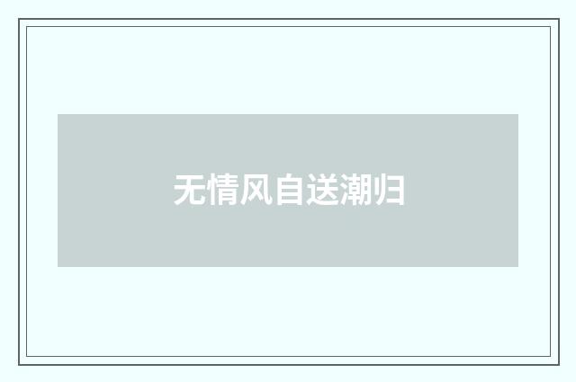无情风自送潮归