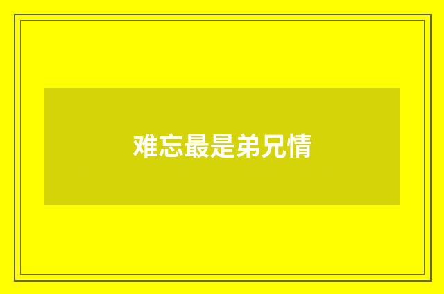 难忘最是弟兄情