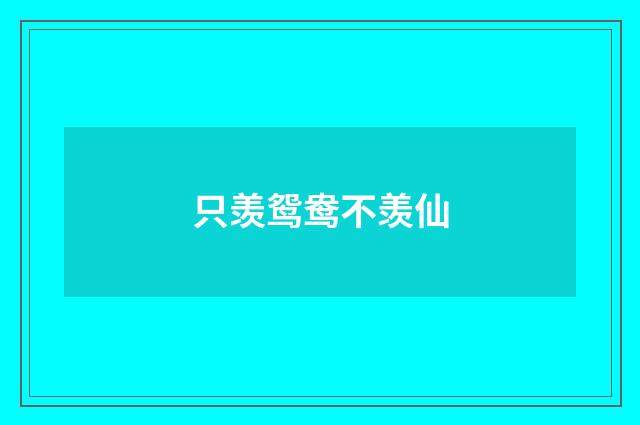 只羡鸳鸯不羡仙