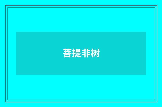 菩提非树
