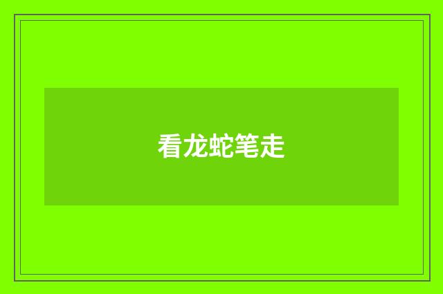 看龙蛇笔走