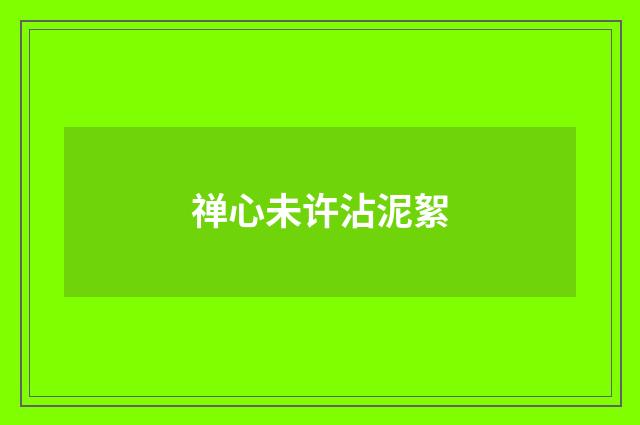 禅心未许沾泥絮