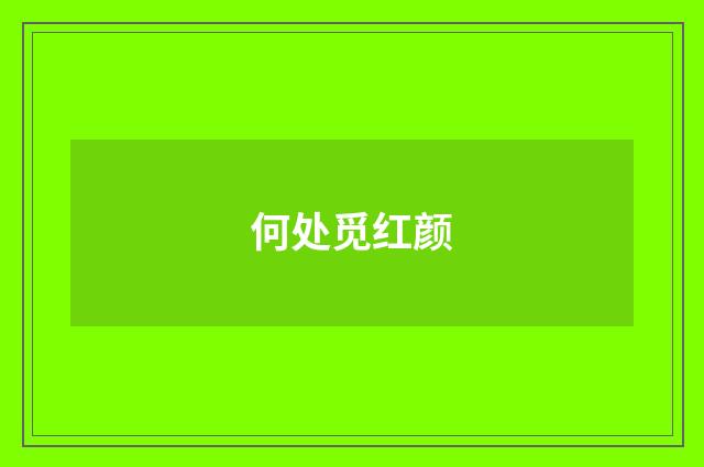 何处觅红颜