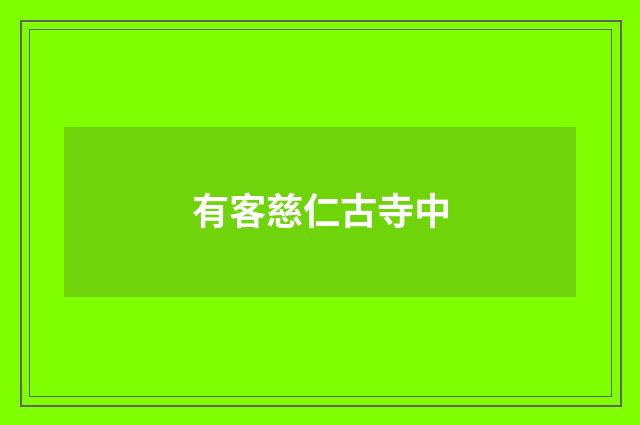 有客慈仁古寺中