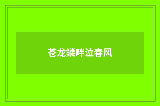 苍龙鳞畔泣春风