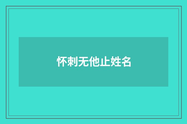 怀刺无他止姓名