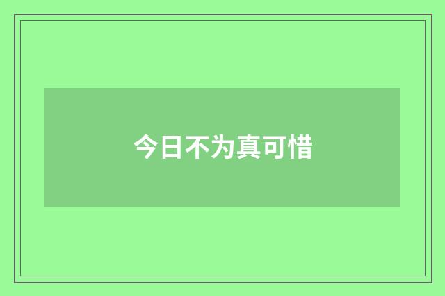 今日不为真可惜