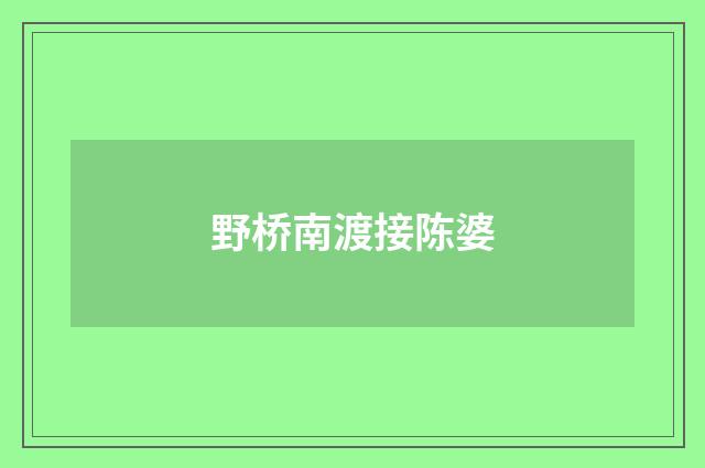 野桥南渡接陈婆