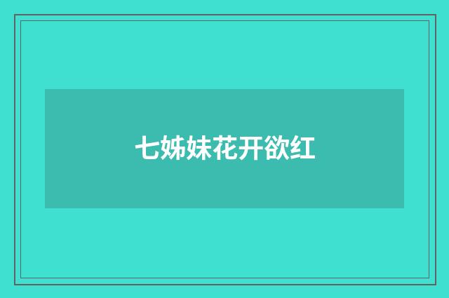七姊妹花开欲红