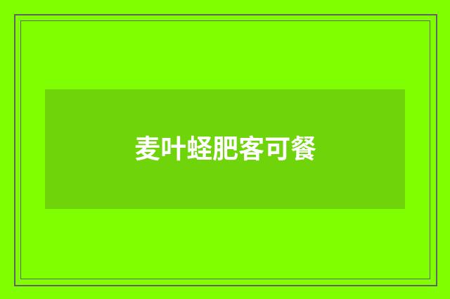 麦叶蛏肥客可餐