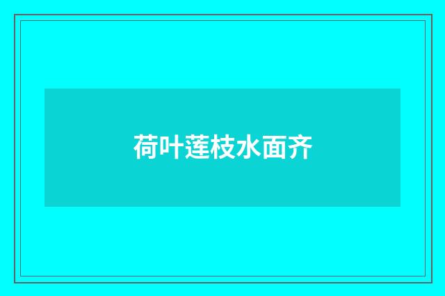 荷叶莲枝水面齐