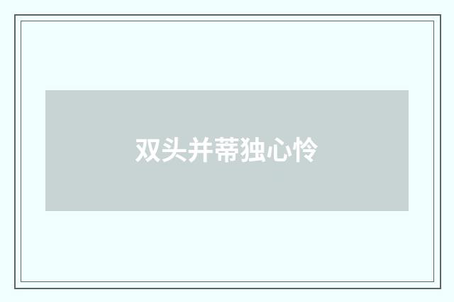 双头并蒂独心怜