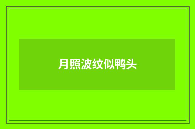 月照波纹似鸭头