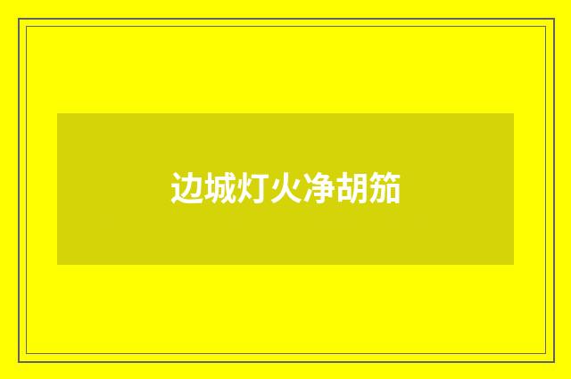 边城灯火净胡笳