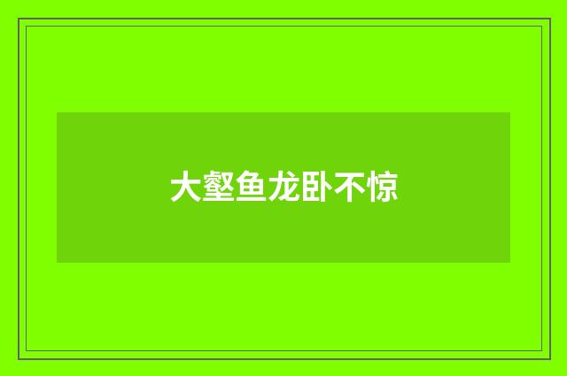 大壑鱼龙卧不惊