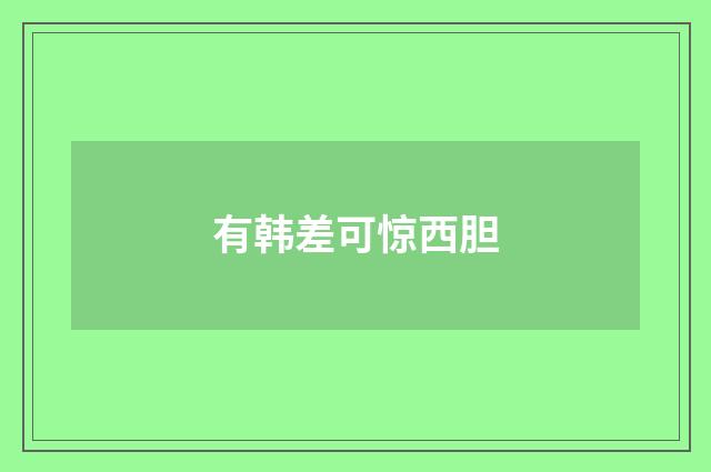 有韩差可惊西胆