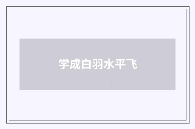 学成白羽水平飞