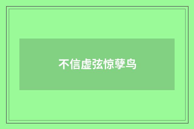 不信虚弦惊孽鸟
