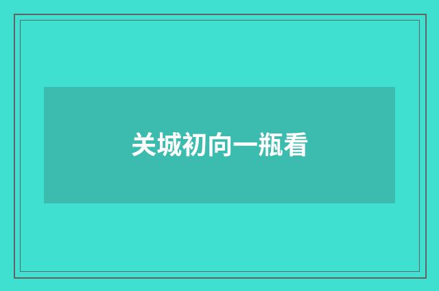 关城初向一瓶看