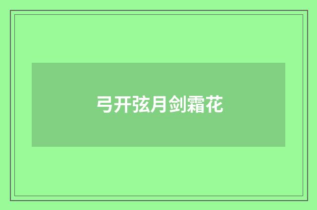 弓开弦月剑霜花