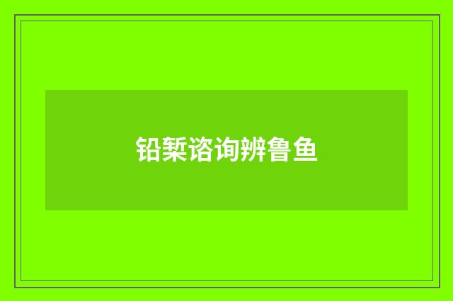 铅椠谘询辨鲁鱼