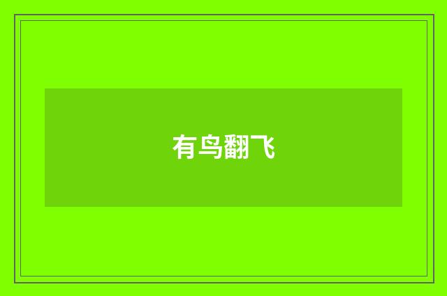 有鸟翻飞