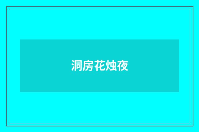 洞房花烛夜