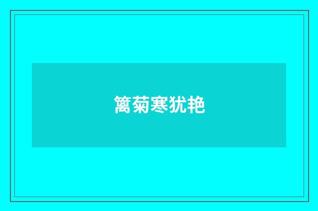 篱菊寒犹艳