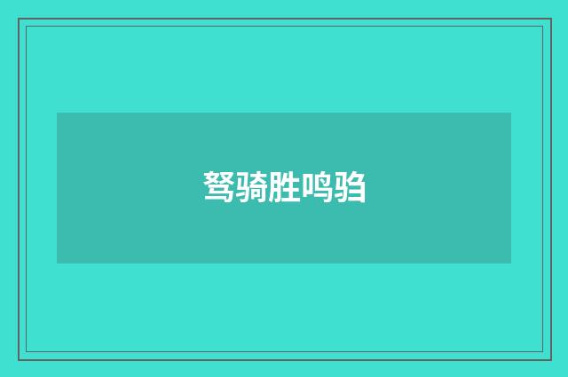 驽骑胜鸣驺