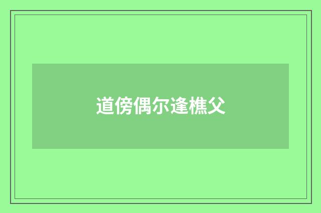 道傍偶尔逢樵父