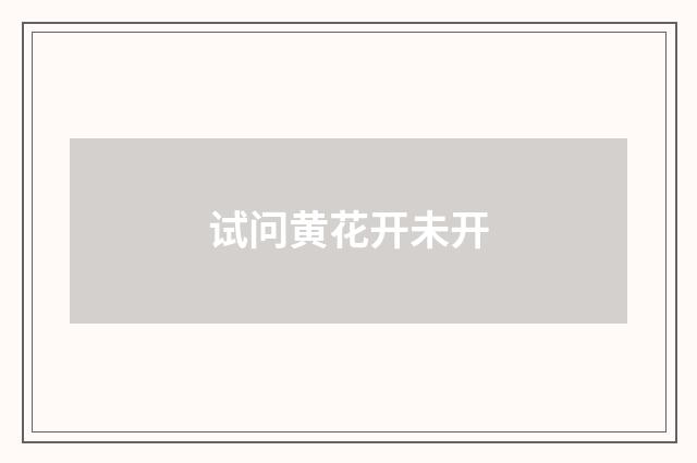 试问黄花开未开