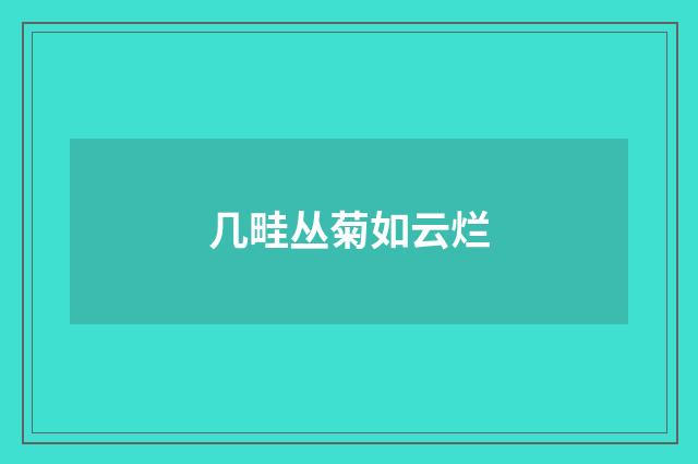 几畦丛菊如云烂