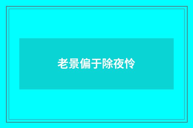 老景偏于除夜怜