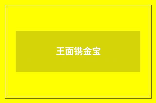 王面镌金宝