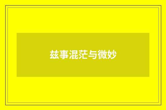 兹事混茫与微妙