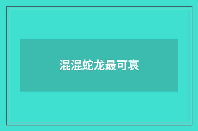 混混蛇龙最可哀