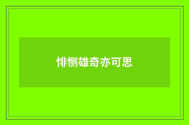 悱恻雄奇亦可思